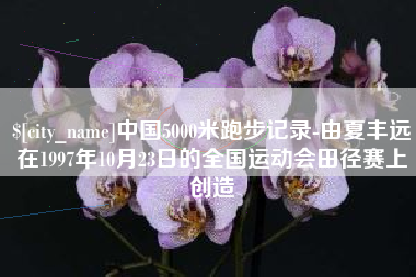 鹤壁中国5000米跑步记录-由夏丰远在1997年10月23日的全国运动会田径赛上创造