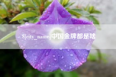 鹤壁中国金牌都是啥