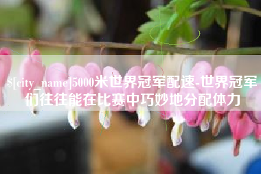 鹤壁5000米世界冠军配速-世界冠军们往往能在比赛中巧妙地分配体力