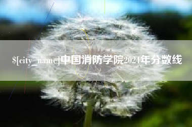 鹤壁中国消防学院2024年分数线