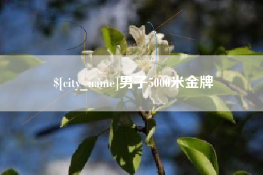 鹤壁男子5000米金牌