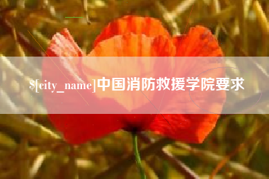 鹤壁中国消防救援学院要求