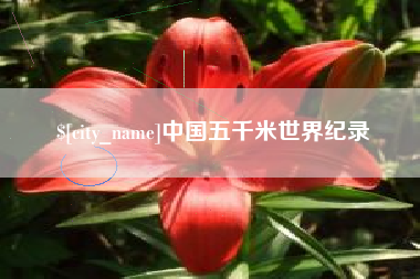 鹤壁中国五千米世界纪录