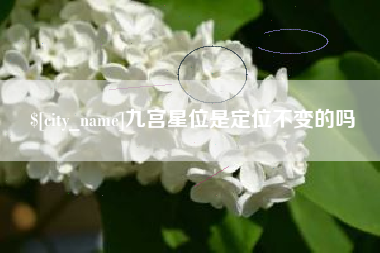 鹤壁九宫星位是定位不变的吗