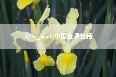 鹤壁中国金牌包括