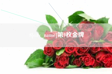 鹤壁第9枚金牌