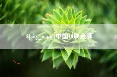 鹤壁中国19块金牌