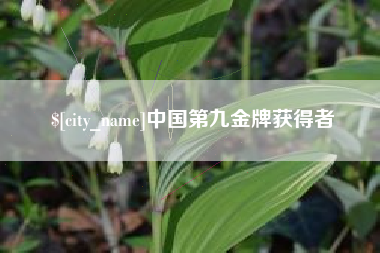 鹤壁中国第九金牌获得者
