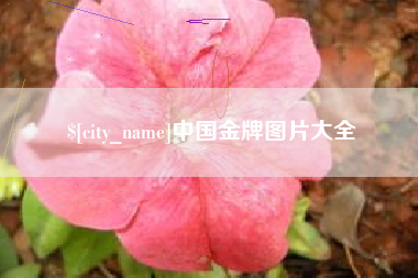 鹤壁中国金牌图片大全