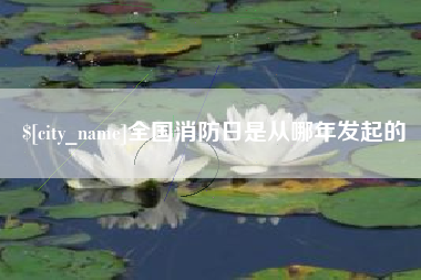 鹤壁全国消防日是从哪年发起的
