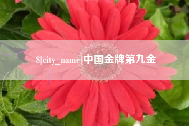 鹤壁中国金牌第九金