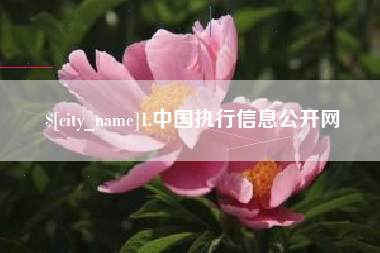 鹤壁1.中国执行信息公开网