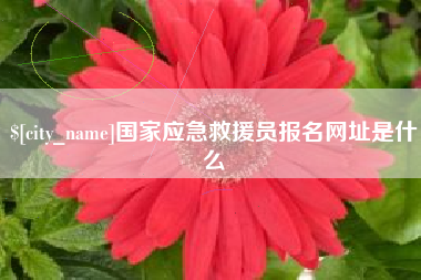 鹤壁国家应急救援员报名网址是什么