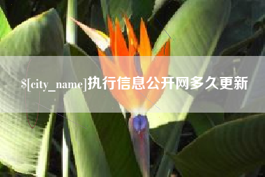 鹤壁执行信息公开网多久更新
