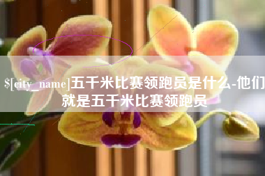 鹤壁五千米比赛领跑员是什么-他们就是五千米比赛领跑员