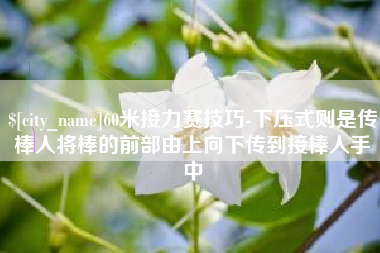 鹤壁60米接力赛技巧-下压式则是传棒人将棒的前部由上向下传到接棒人手中
