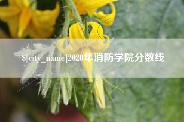鹤壁2020年消防学院分数线