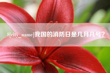 鹤壁我国的消防日是几月几号？
