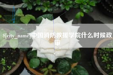 鹤壁中国消防救援学院什么时候政审