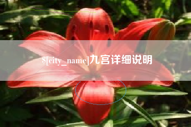 鹤壁九宫详细说明