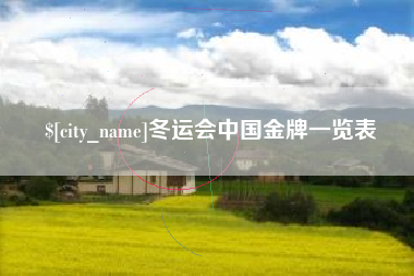 鹤壁冬运会中国金牌一览表