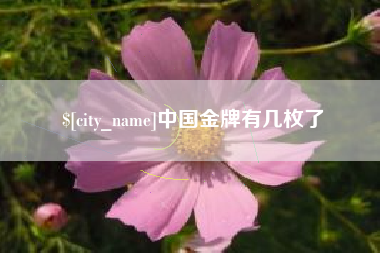 鹤壁中国金牌有几枚了