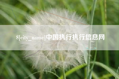 鹤壁中国执行执行信息网