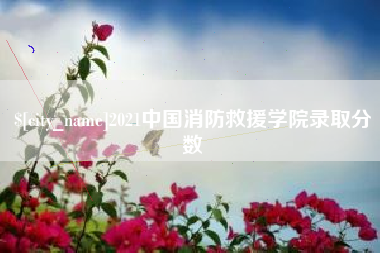 鹤壁2021中国消防救援学院录取分数