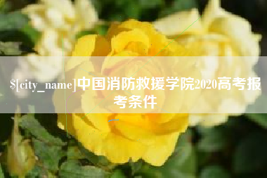 鹤壁中国消防救援学院2020高考报考条件