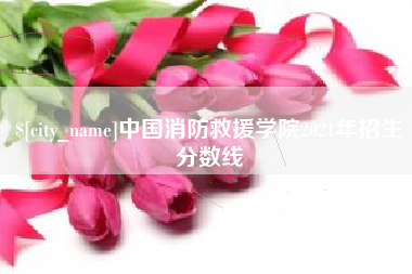 鹤壁中国消防救援学院2021年招生分数线