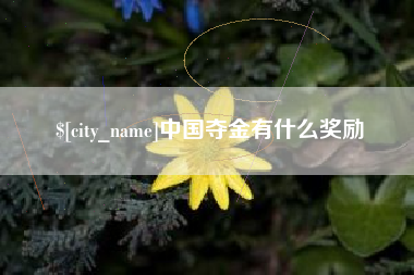 鹤壁中国夺金有什么奖励