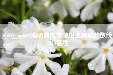 鹤壁消防救援学院招生录取分数线2020福建