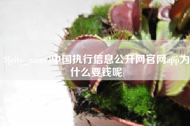 鹤壁中国执行信息公开网官网app为什么要钱呢