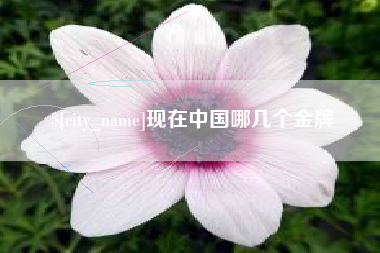 鹤壁现在中国哪几个金牌