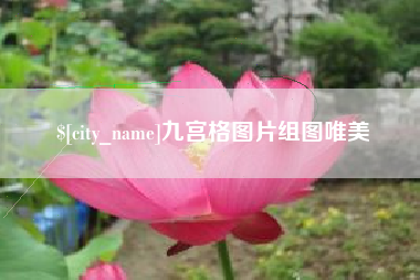 鹤壁九宫格图片组图唯美