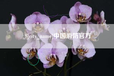 鹤壁中国消防官方