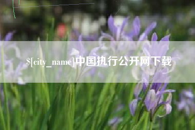 鹤壁中国执行公开网下载
