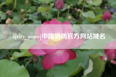鹤壁中国消防官方网站域名