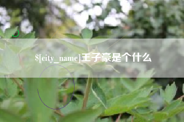鹤壁王子豪是个什么