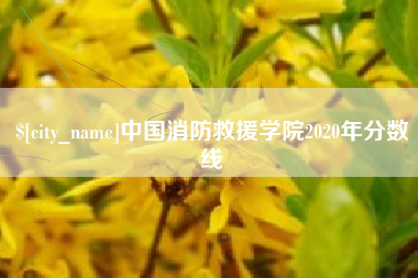 鹤壁中国消防救援学院2020年分数线