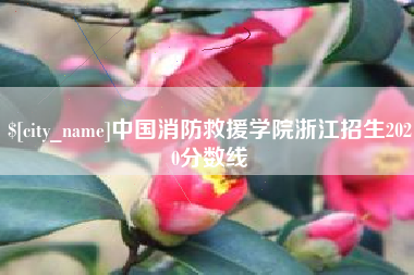 鹤壁中国消防救援学院浙江招生2020分数线