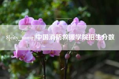 鹤壁中国消防救援学院招生分数