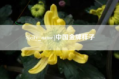 鹤壁中国金牌样子