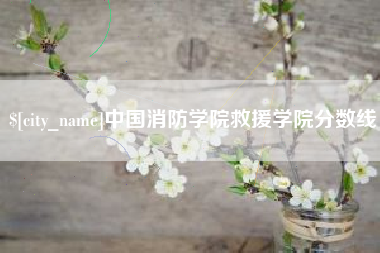 鹤壁中国消防学院救援学院分数线
