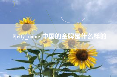 鹤壁中国的金牌是什么样的