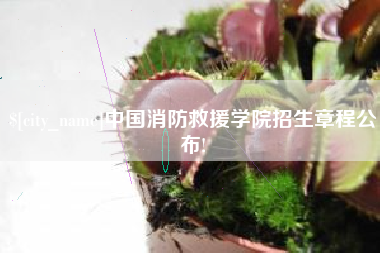 鹤壁中国消防救援学院招生章程公布!