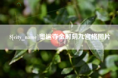 鹤壁奥运夺金时刻九宫格图片