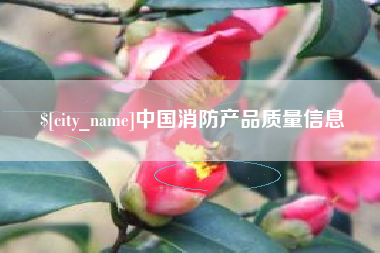鹤壁中国消防产品质量信息