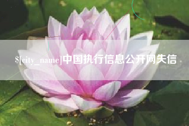 鹤壁中国执行信息公开网失信
