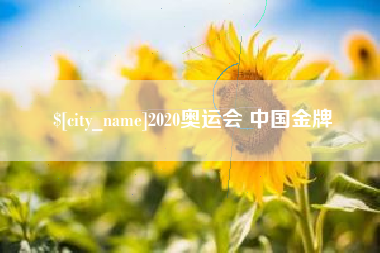 鹤壁2020奥运会 中国金牌